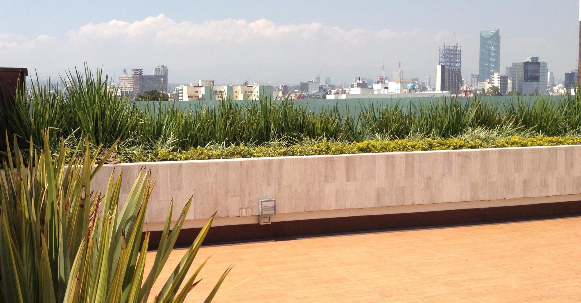 马贝拉酒店 墨西哥城 外观 照片